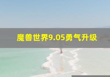 魔兽世界9.05勇气升级