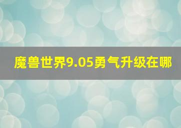 魔兽世界9.05勇气升级在哪