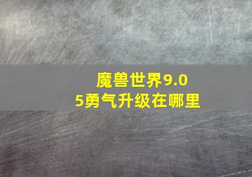 魔兽世界9.05勇气升级在哪里