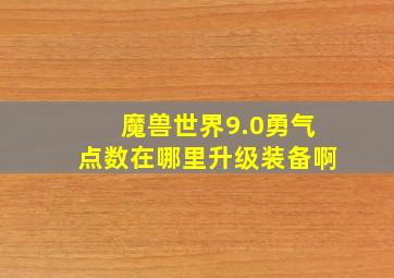 魔兽世界9.0勇气点数在哪里升级装备啊