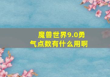 魔兽世界9.0勇气点数有什么用啊