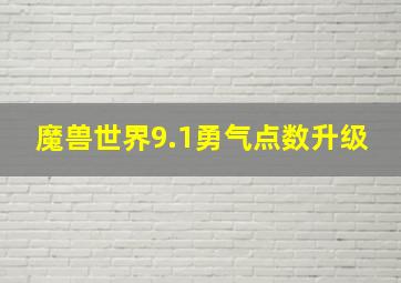 魔兽世界9.1勇气点数升级