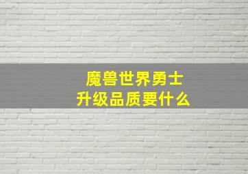 魔兽世界勇士升级品质要什么