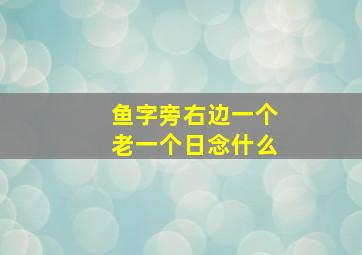 鱼字旁右边一个老一个日念什么