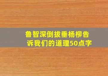 鲁智深倒拔垂杨柳告诉我们的道理50点字