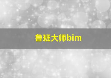 鲁班大师bim