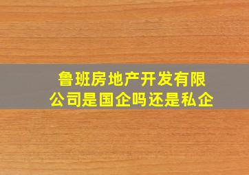 鲁班房地产开发有限公司是国企吗还是私企