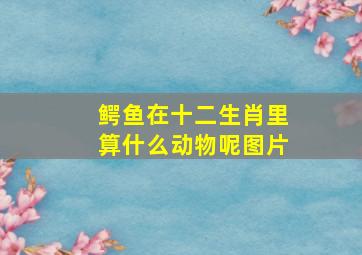 鳄鱼在十二生肖里算什么动物呢图片