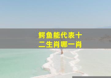 鳄鱼能代表十二生肖哪一肖