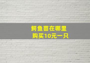 鳄鱼苗在哪里购买10元一只