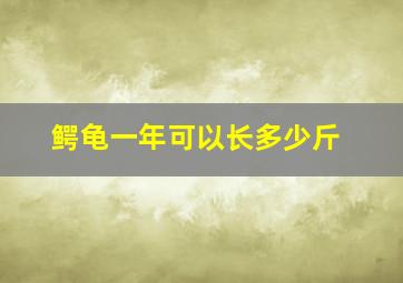 鳄龟一年可以长多少斤