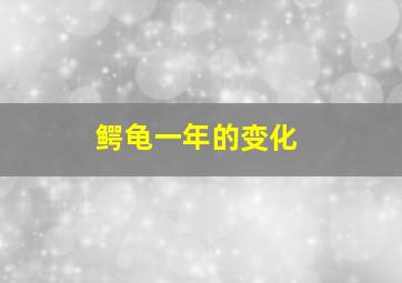 鳄龟一年的变化