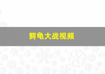 鳄龟大战视频