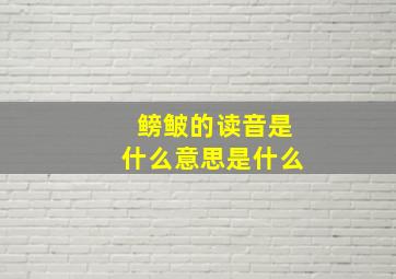 鳑鲏的读音是什么意思是什么