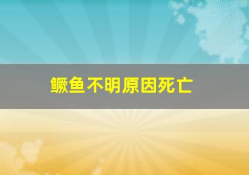 鳜鱼不明原因死亡