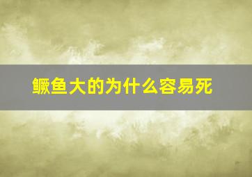 鳜鱼大的为什么容易死