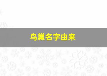 鸟巢名字由来