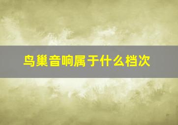 鸟巢音响属于什么档次