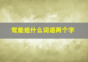 鸳能组什么词语两个字