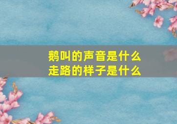 鹅叫的声音是什么走路的样子是什么