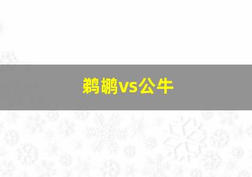 鹈鹕vs公牛