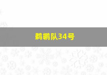 鹈鹕队34号