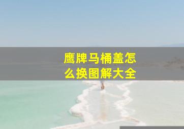 鹰牌马桶盖怎么换图解大全