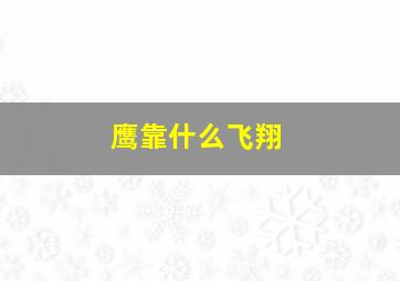 鹰靠什么飞翔