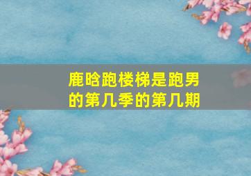 鹿晗跑楼梯是跑男的第几季的第几期