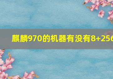 麒麟970的机器有没有8+256