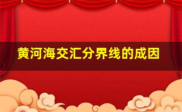 黄河海交汇分界线的成因