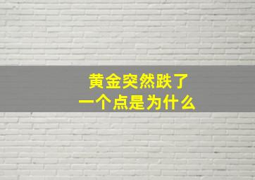 黄金突然跌了一个点是为什么