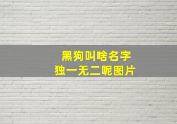 黑狗叫啥名字独一无二呢图片