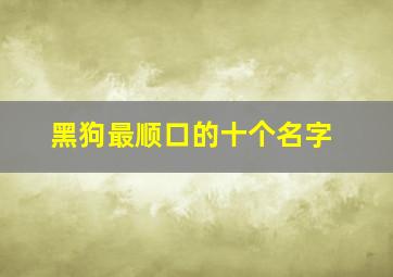 黑狗最顺口的十个名字