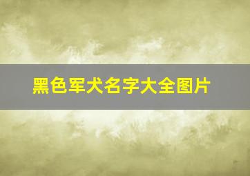 黑色军犬名字大全图片