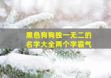 黑色狗狗独一无二的名字大全两个字霸气