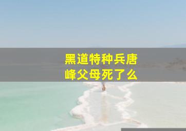 黑道特种兵唐峰父母死了么