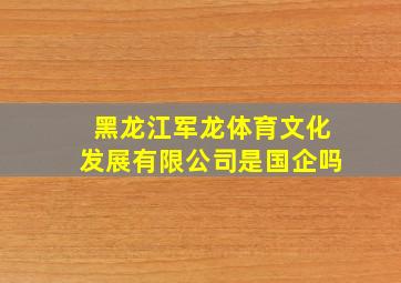 黑龙江军龙体育文化发展有限公司是国企吗