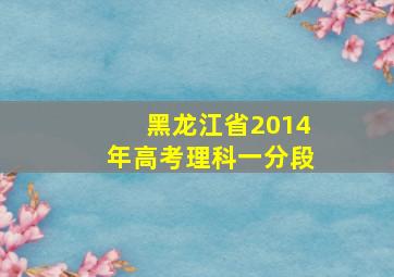 黑龙江省2014年高考理科一分段