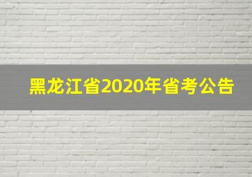 黑龙江省2020年省考公告