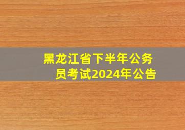 黑龙江省下半年公务员考试2024年公告