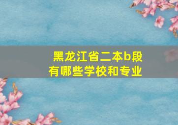 黑龙江省二本b段有哪些学校和专业