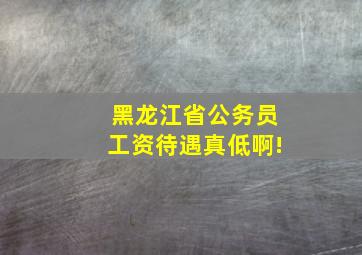 黑龙江省公务员工资待遇真低啊!