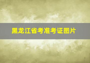 黑龙江省考准考证图片