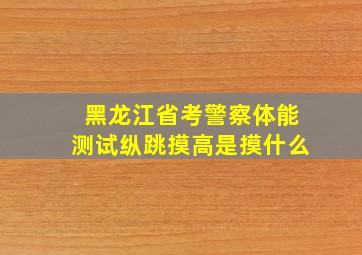 黑龙江省考警察体能测试纵跳摸高是摸什么