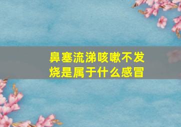 鼻塞流涕咳嗽不发烧是属于什么感冒