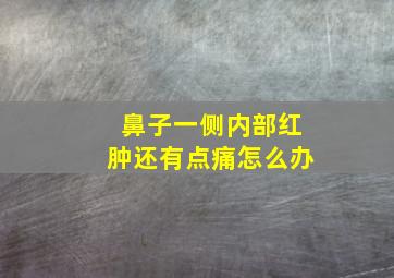 鼻子一侧内部红肿还有点痛怎么办