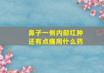 鼻子一侧内部红肿还有点痛用什么药