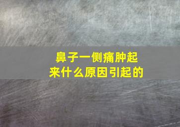 鼻子一侧痛肿起来什么原因引起的