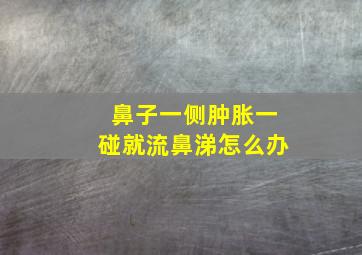 鼻子一侧肿胀一碰就流鼻涕怎么办